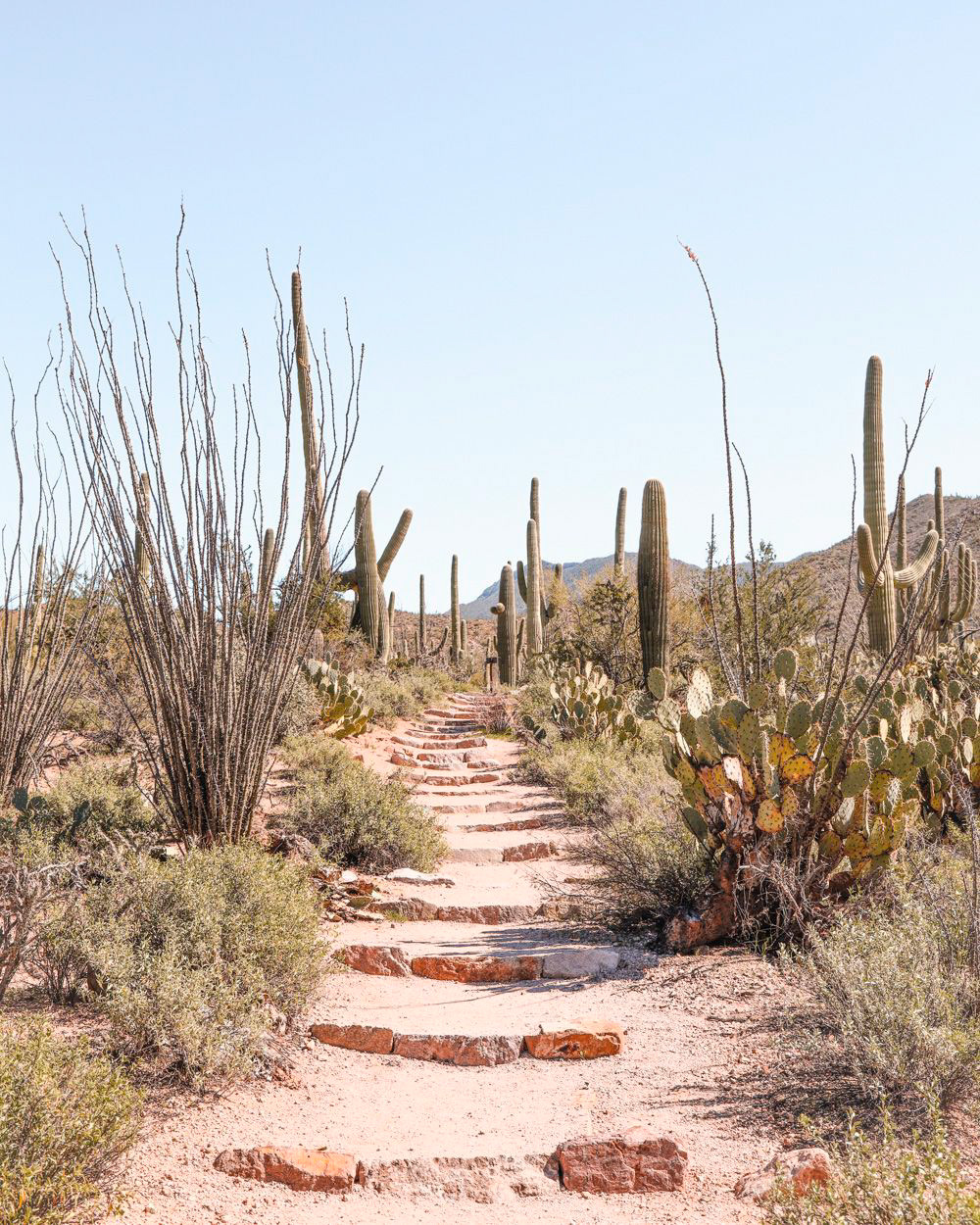 Trail